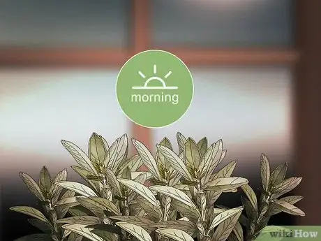 Image titled Grow Herbs in Pots Step 12