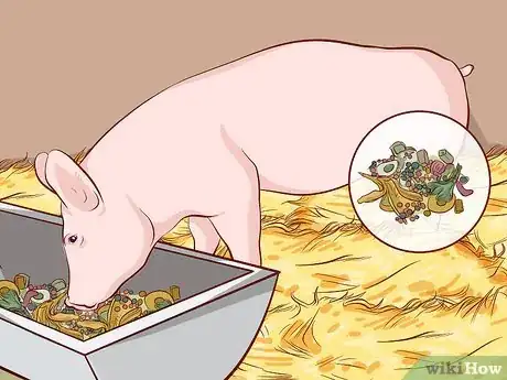 Image titled Raise Pigs for Meat Step 7