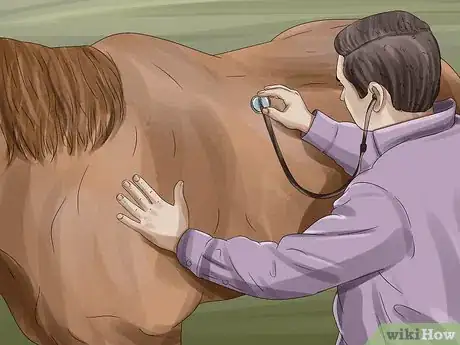 Image titled Prevent Botulism in Horses Step 14