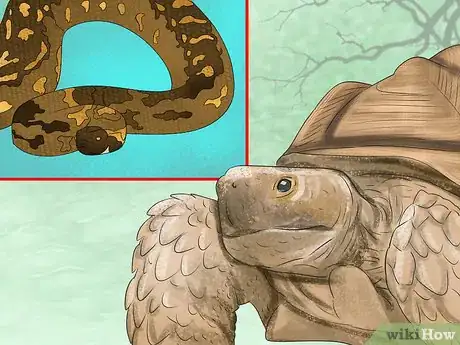 Image titled Choose the Right Reptile as a Pet Step 5