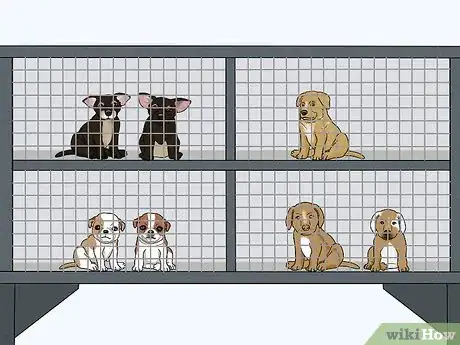 Image titled Identify a Puppy Mill Step 13