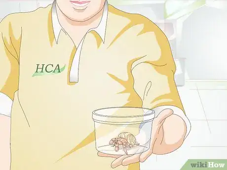 Image titled Buy a Pet Hermit Crab Step 3