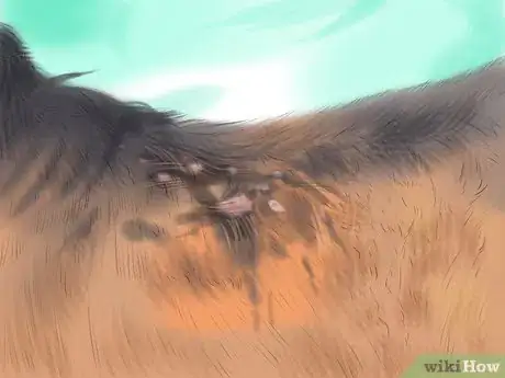 Image titled Care for Your Horse In the Winter Step 7