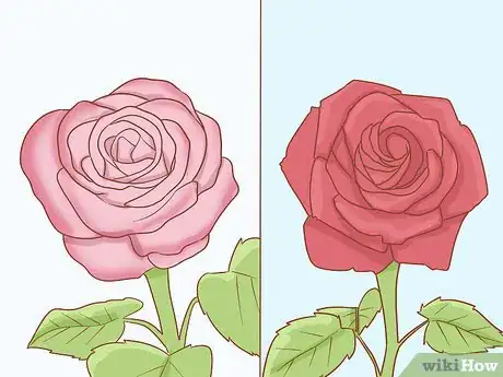 Image titled Grow Long Stem Roses at Home Step 2