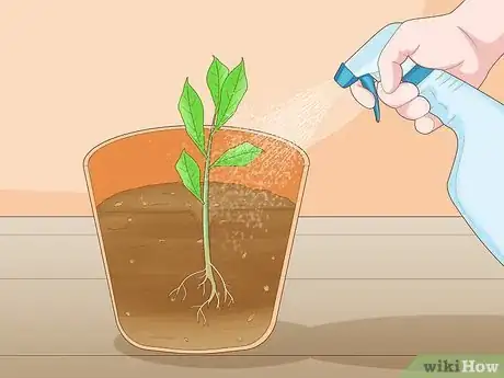 Image titled Plant Roots Step 12