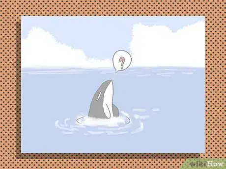 Image titled Identify an Orca Whale Step 6