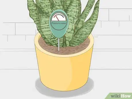 Image titled Prevent over Watering in House Plants Step 2