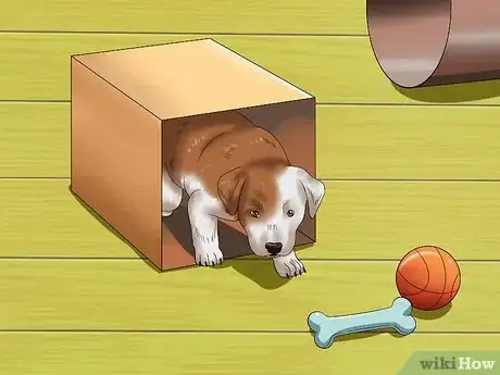 Image titled Love Your Puppy Step 11