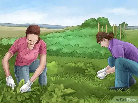 Image titled Manage Pastures Using Rotational or Management Intensive Grazing Step 32