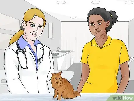 Image titled Care for an American Bobtail Cat Step 17