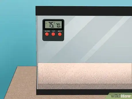 Image titled Care for a Chilean Rose Tarantula Step 8