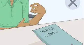 Identify a Service Dog