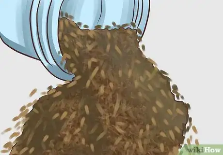 Image titled Dry Fresh Grown Catnip Step 5