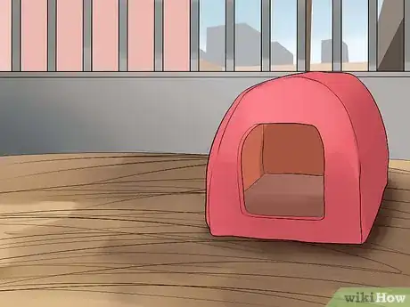 Image titled Introduce a New Guinea Pig to a Community Cage Step 3