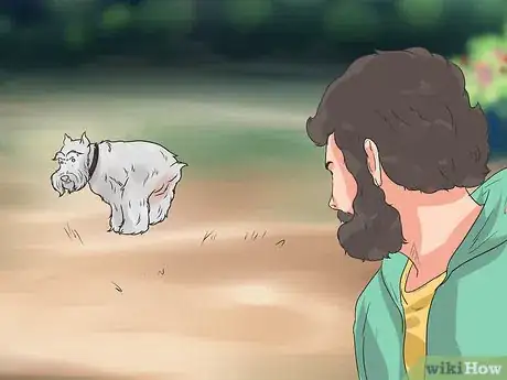 Image titled Diagnose Portosystemic Shunts in Yorkshire Terriers Step 3