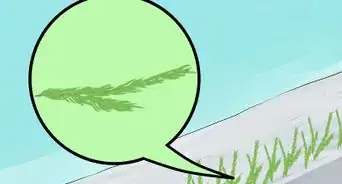 Build a Snowboard Jump