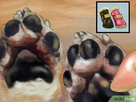 Image titled Keep Your Dog Safe in Extreme Weather Step 15