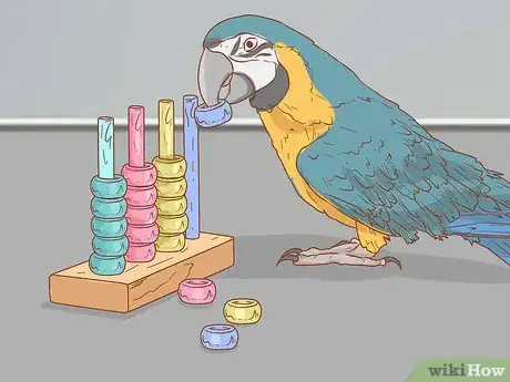 Image titled Keep a Macaw Occupied Step 1