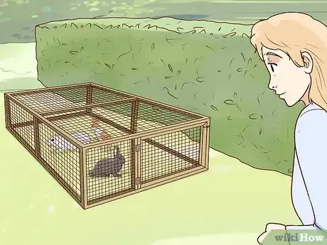 Image titled Keep Pet Rabbits Safe Step 5