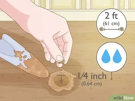 Image titled Propagate Hollyhocks Step 15