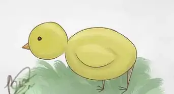 Draw a 2D Bird (for Beginners)