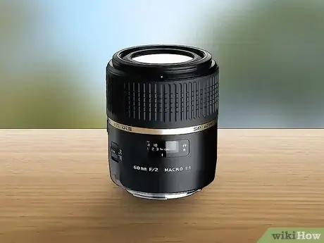 Image titled Photograph Insects Step 4