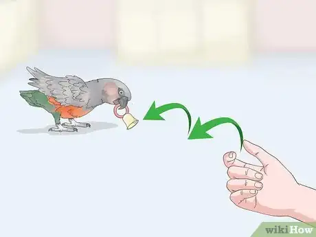 Image titled Keep a Red Bellied Parrot Entertained Step 13