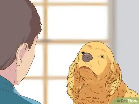 Image titled Get Veterinary Hospice Care for Your Dog Step 4