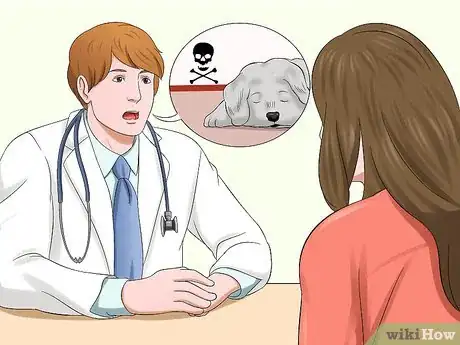 Image titled Diagnose Little White Shaker Syndrome in Maltese Step 6