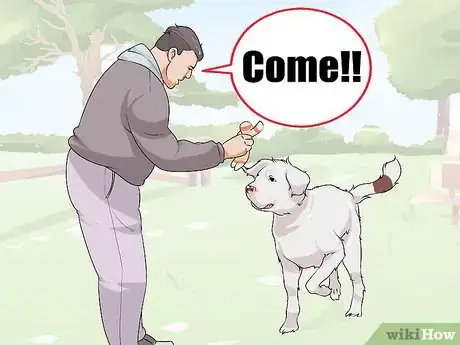 Image titled Live with a Dog with a High Prey Drive Step 2