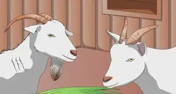 Use Water to Reduce Dust in Hay