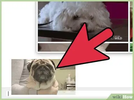 Image titled Send GIFs on Apple Messages Step 15