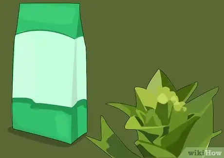 Image titled Grow and Care for Asiatic Lilies Step 13