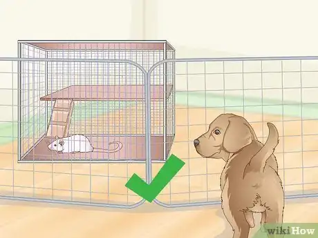 Image titled Keep Pet Rats Safe Around Other Pets Step 9