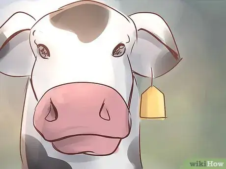 Image titled Obtain Livestock Collision Insurance Coverage Step 11