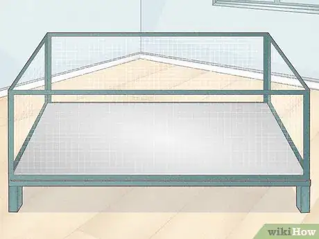 Image titled Prevent Your Guinea Pig from Becoming Sick Step 9