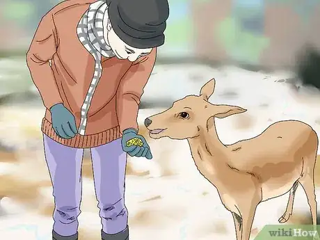 Image titled Feed Deer Step 8