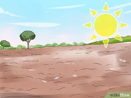 Image titled Grow Vegetables in Small Gardens Step 5