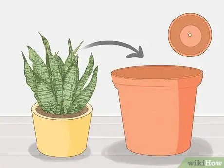 Image titled Prevent over Watering in House Plants Step 7