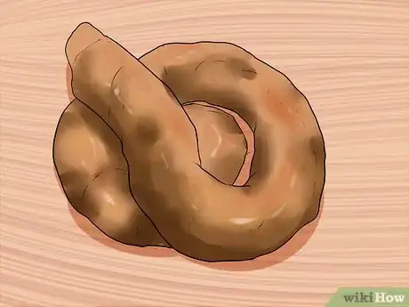 Image titled Treat Ascarids in Dogs Step 4