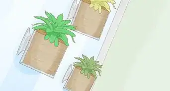 Hang Plants Without Holes