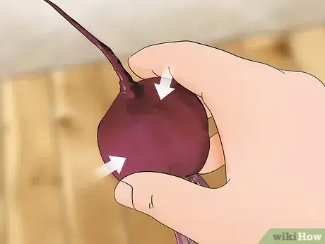 Image titled Choose Beetroot Step 5