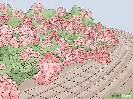 Image titled Buy Rose Bushes Step 8