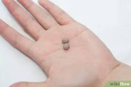 Image titled Make a Clay Hamster Step 4
