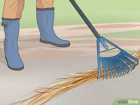 Image titled Deal with Autumn Leaves Step 3