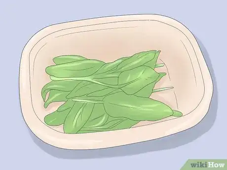 Image titled Grow Sage Step 7