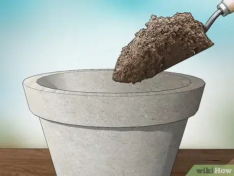 Image titled Grow Jalapenos in a Pot Step 2