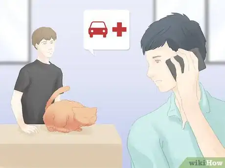 Image titled Save a Choking Cat Step 12