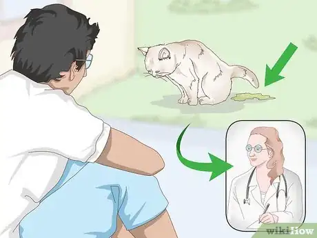 Image titled Prevent Stones in Cats Step 10