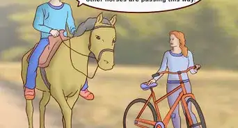 Yield to a Horse on a Multi Use Trail